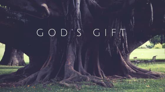 God's-Gift