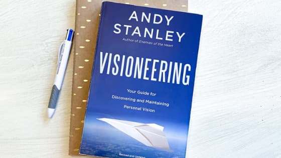 book review visioneering