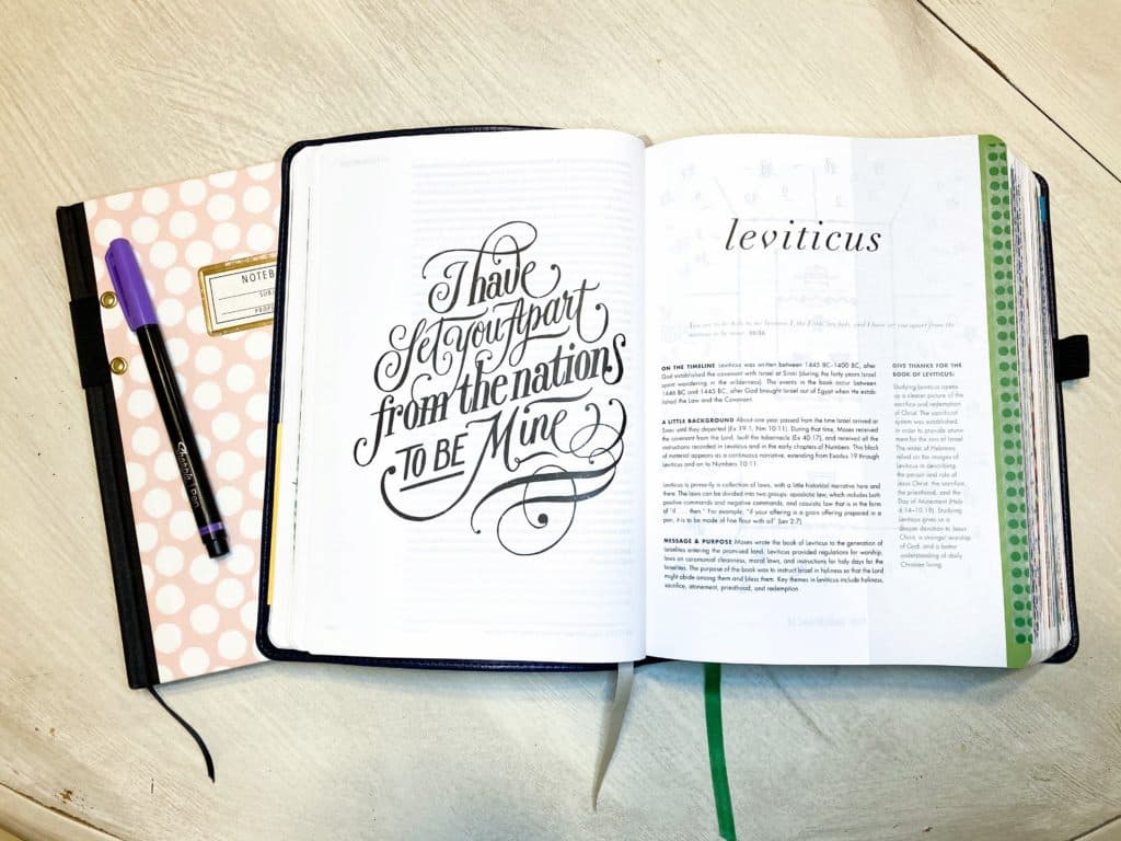 Unravelling the mystery of the bullet journal