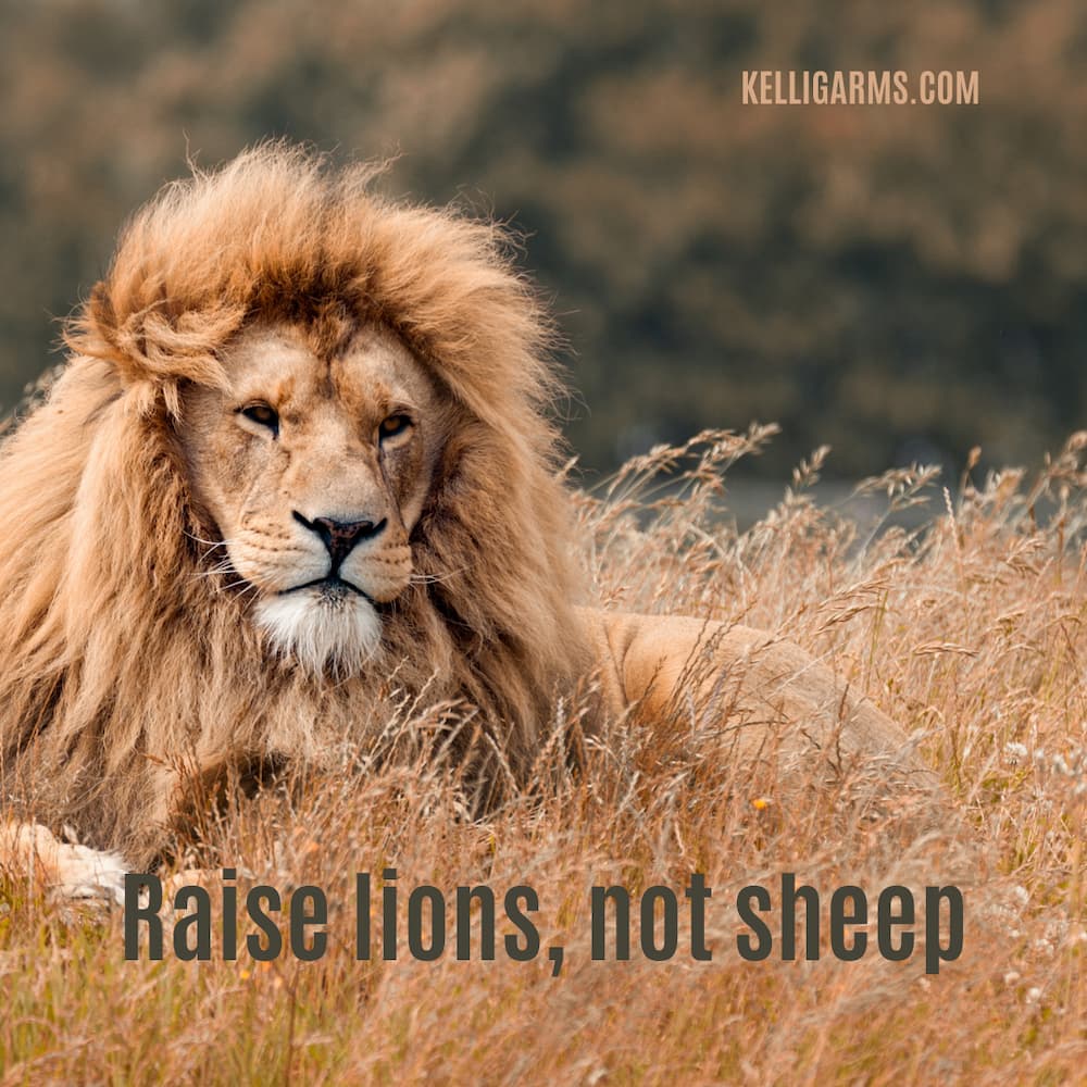 Raise lions, not sheep